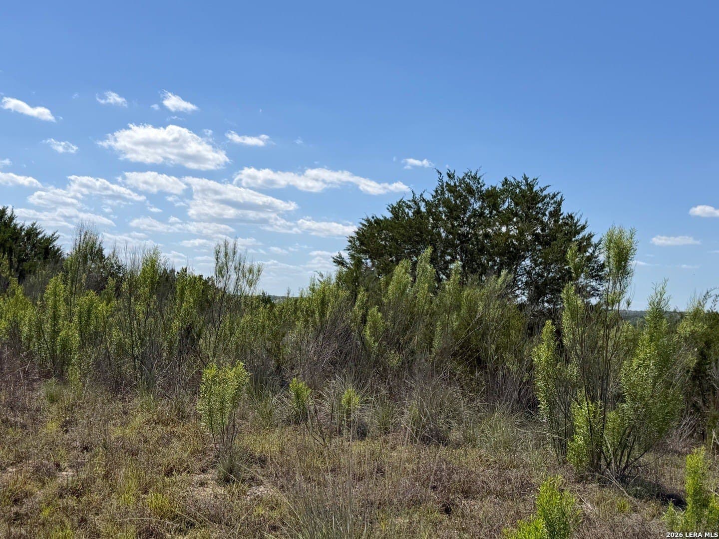 1.4 acres in Comal County - photo 12