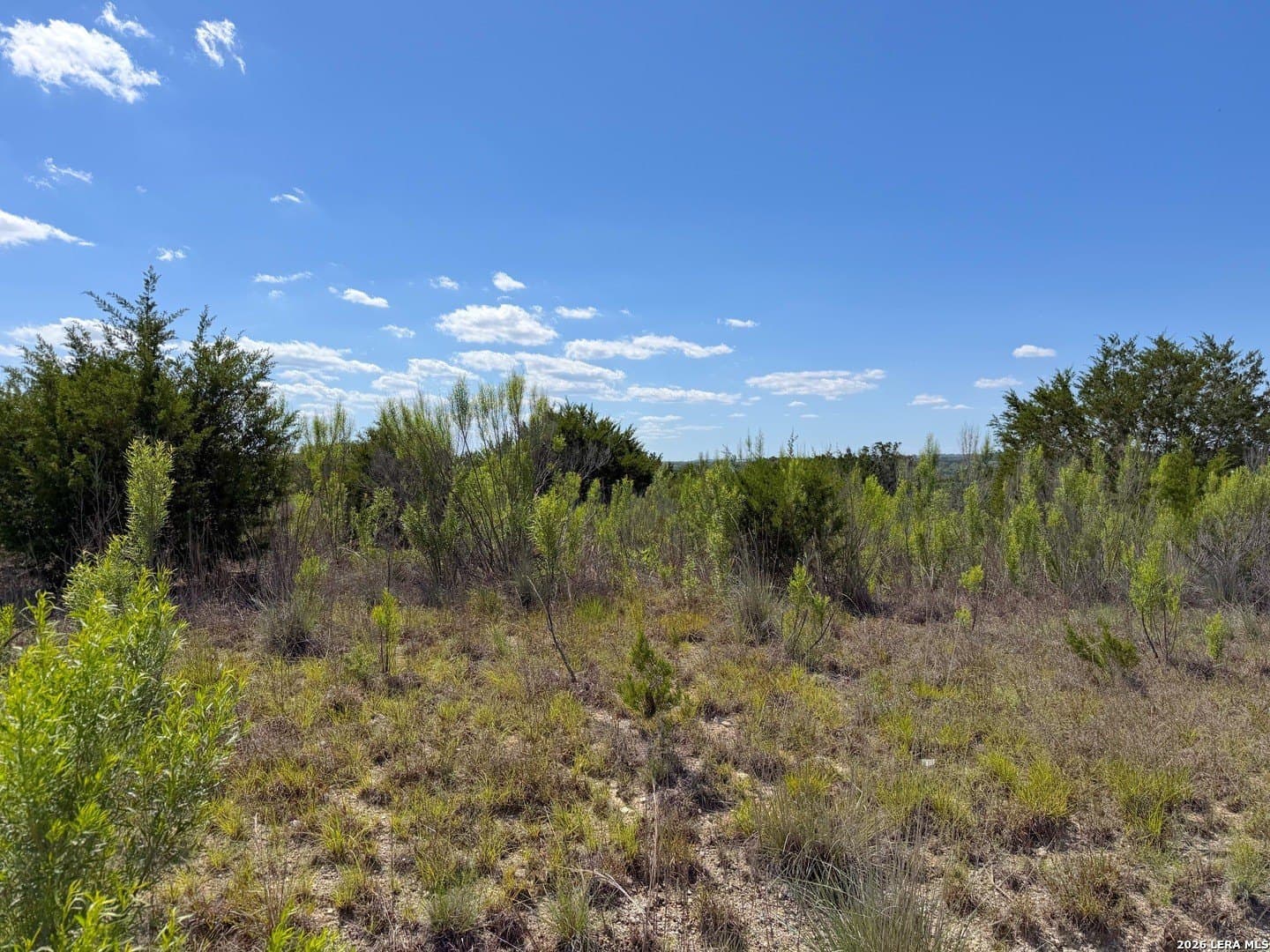1.4 acres in Comal County - photo 7