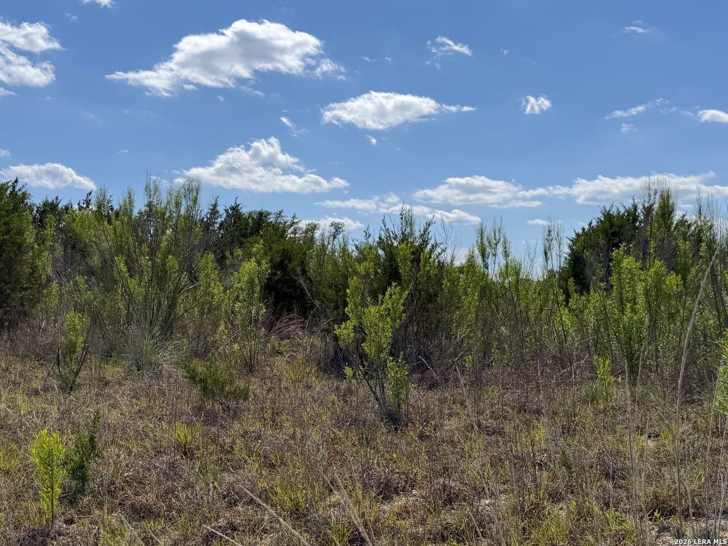 1.4 acres in Comal County - photo 14