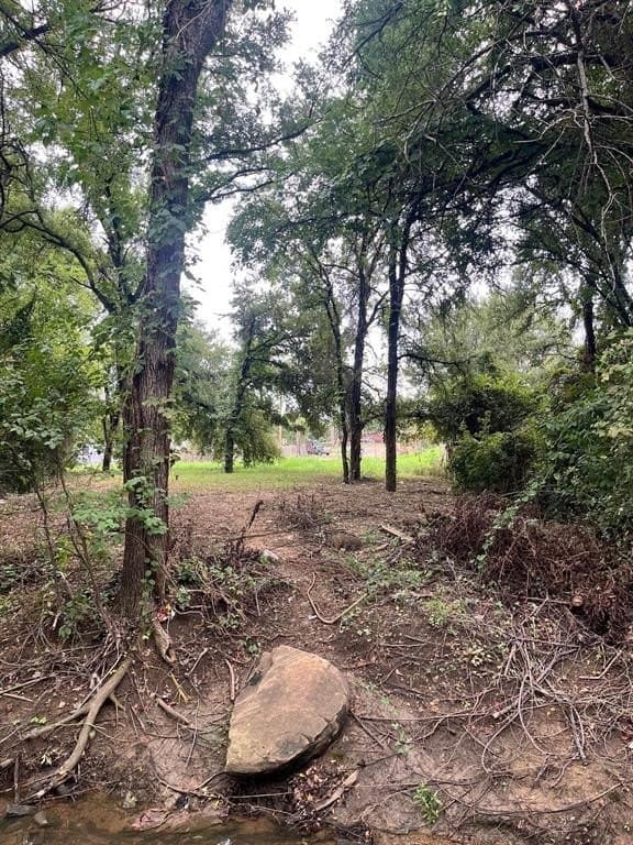 0.14 acres in Denton County gallery image 2
