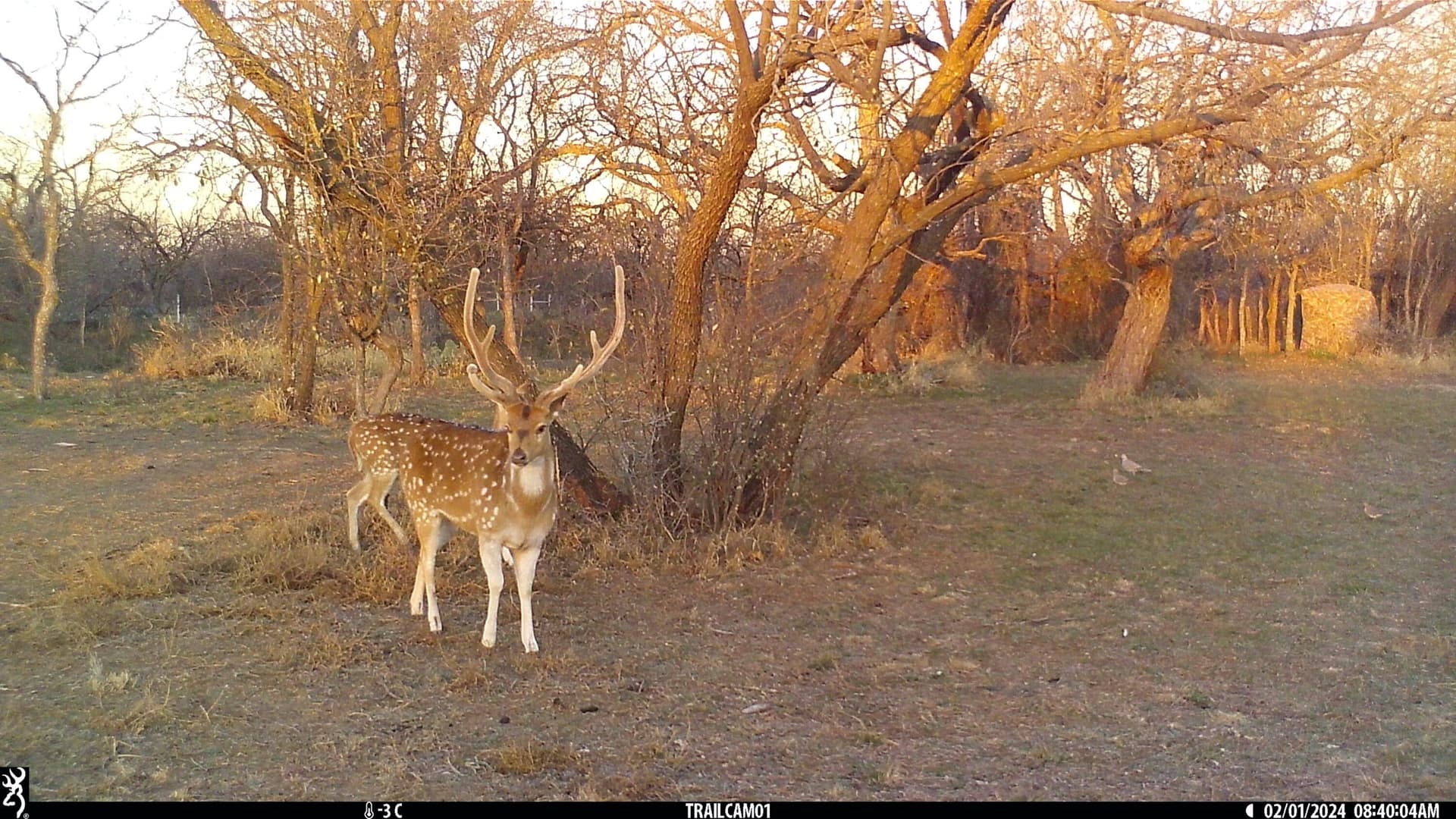 15.51 acres in Tom Green County - photo 67