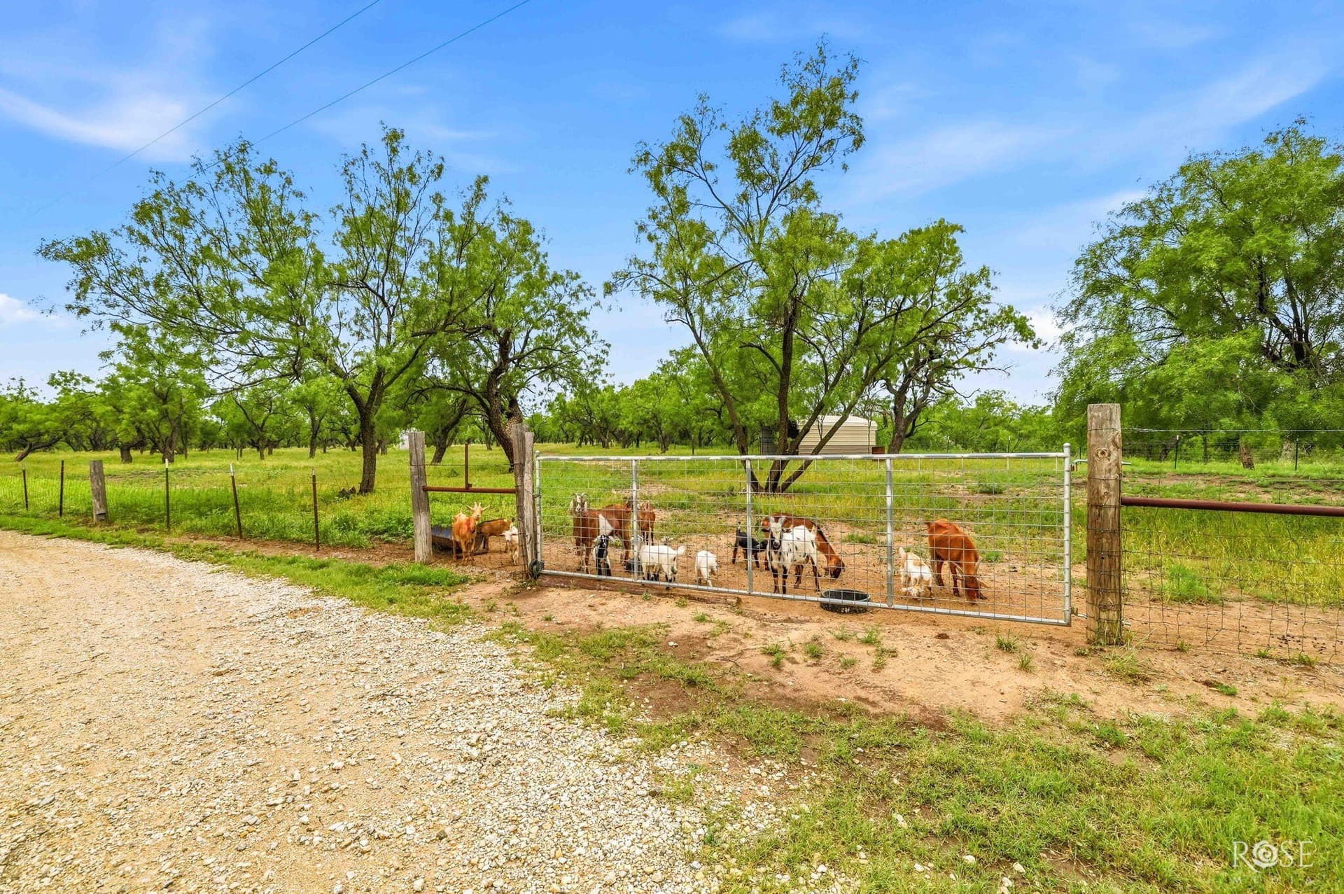 15.51 acres in Tom Green County - photo 53