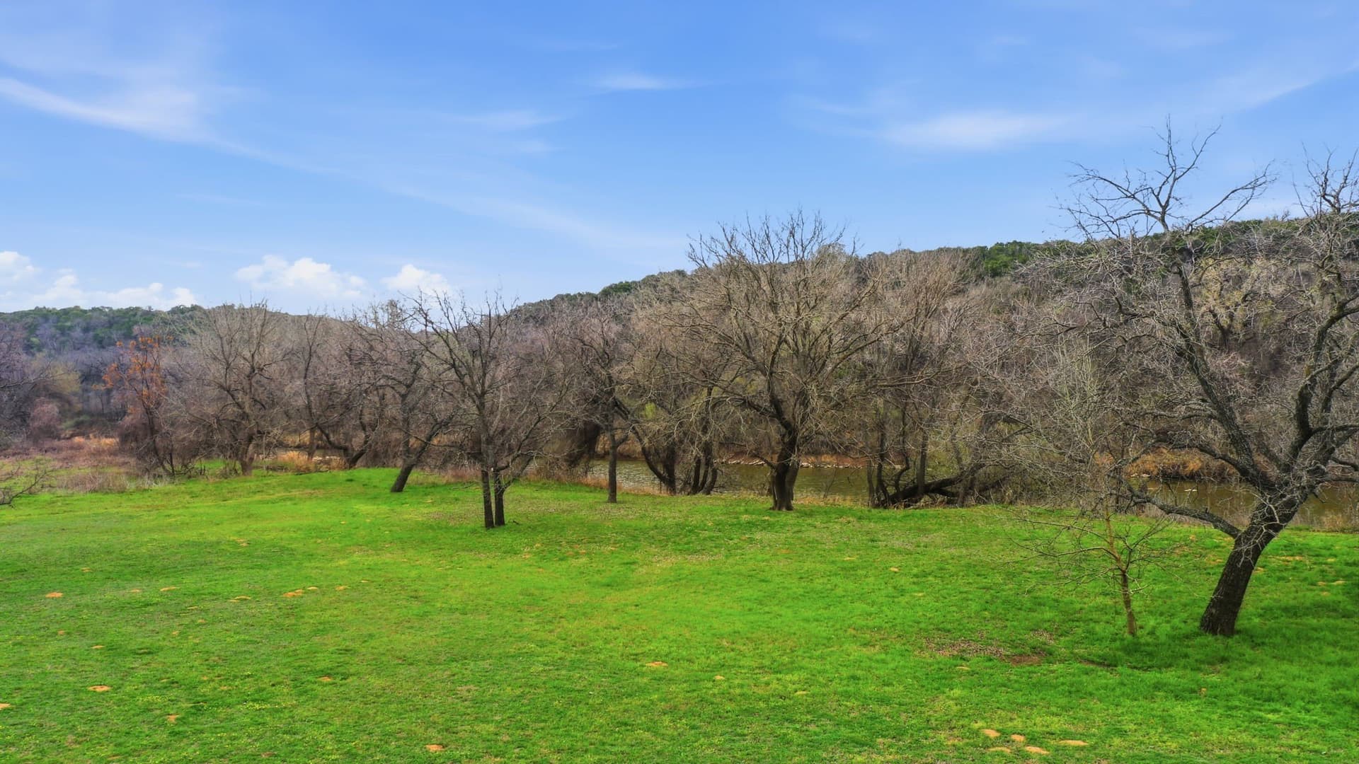 4 acres in Somervell County - photo 16