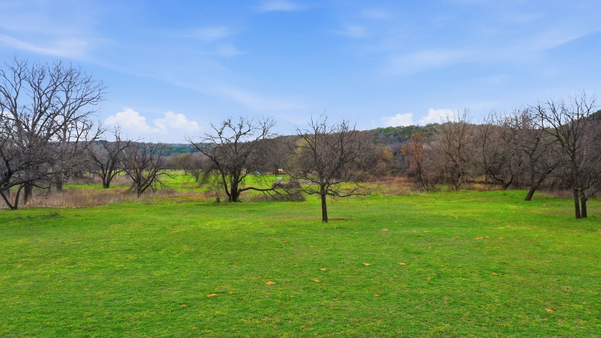 4 acres in Somervell County - photo 18