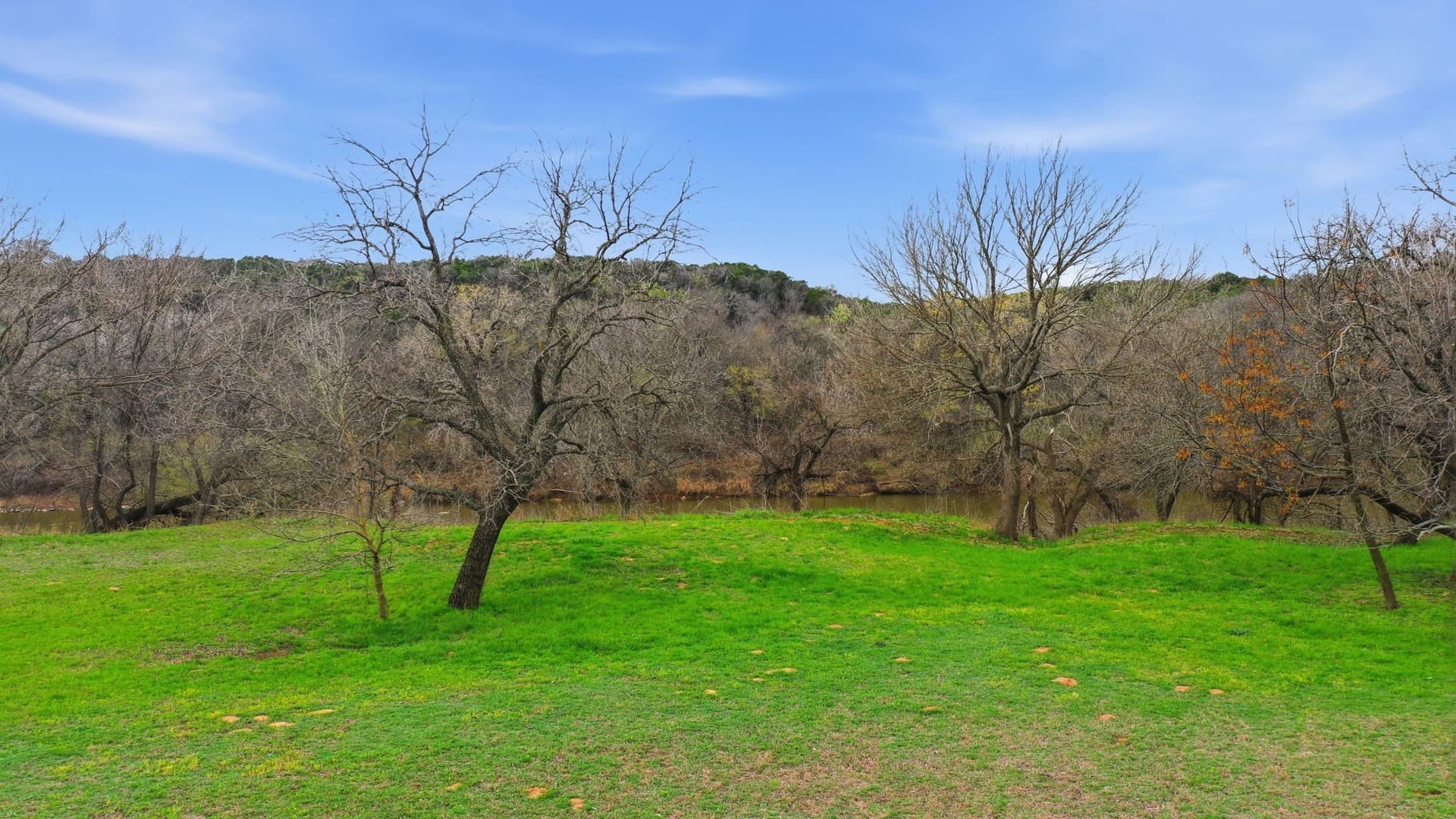 4 acres in Somervell County - photo 15