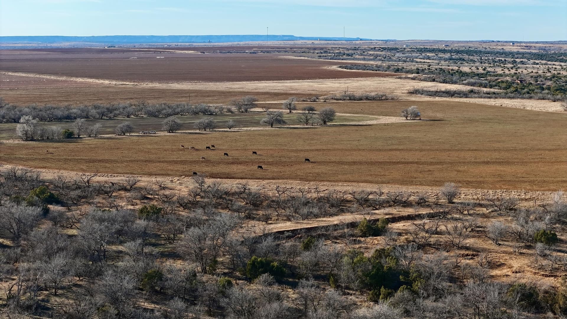 419 acres in Hall County gallery image 3