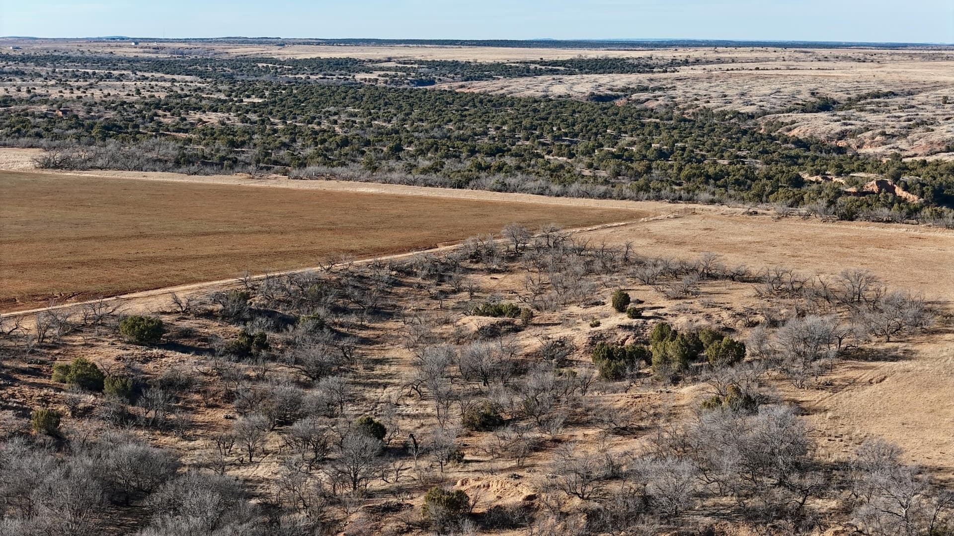 419 acres in Hall County gallery image 4