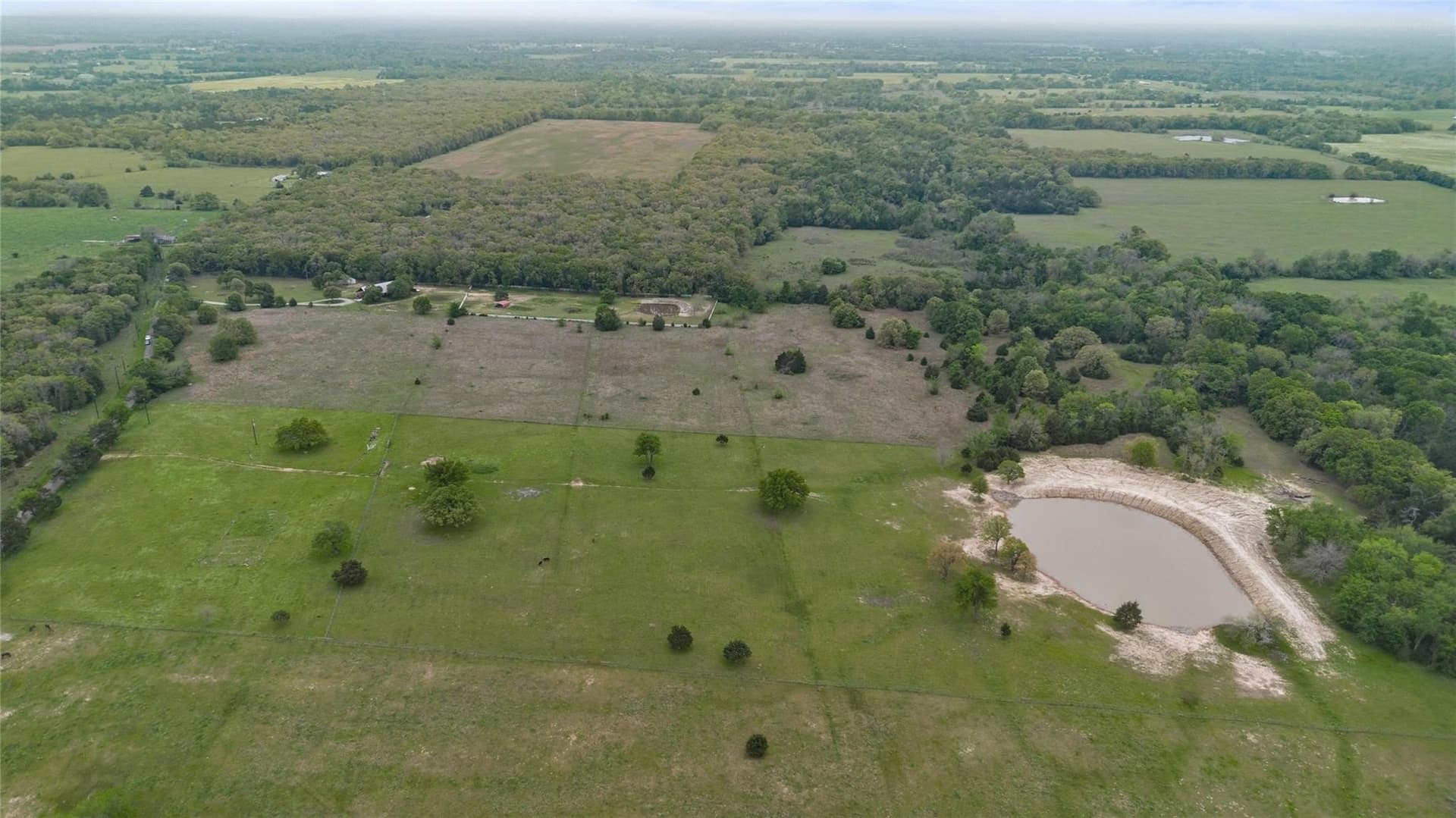 22.38 acres in Hopkins County gallery image 3