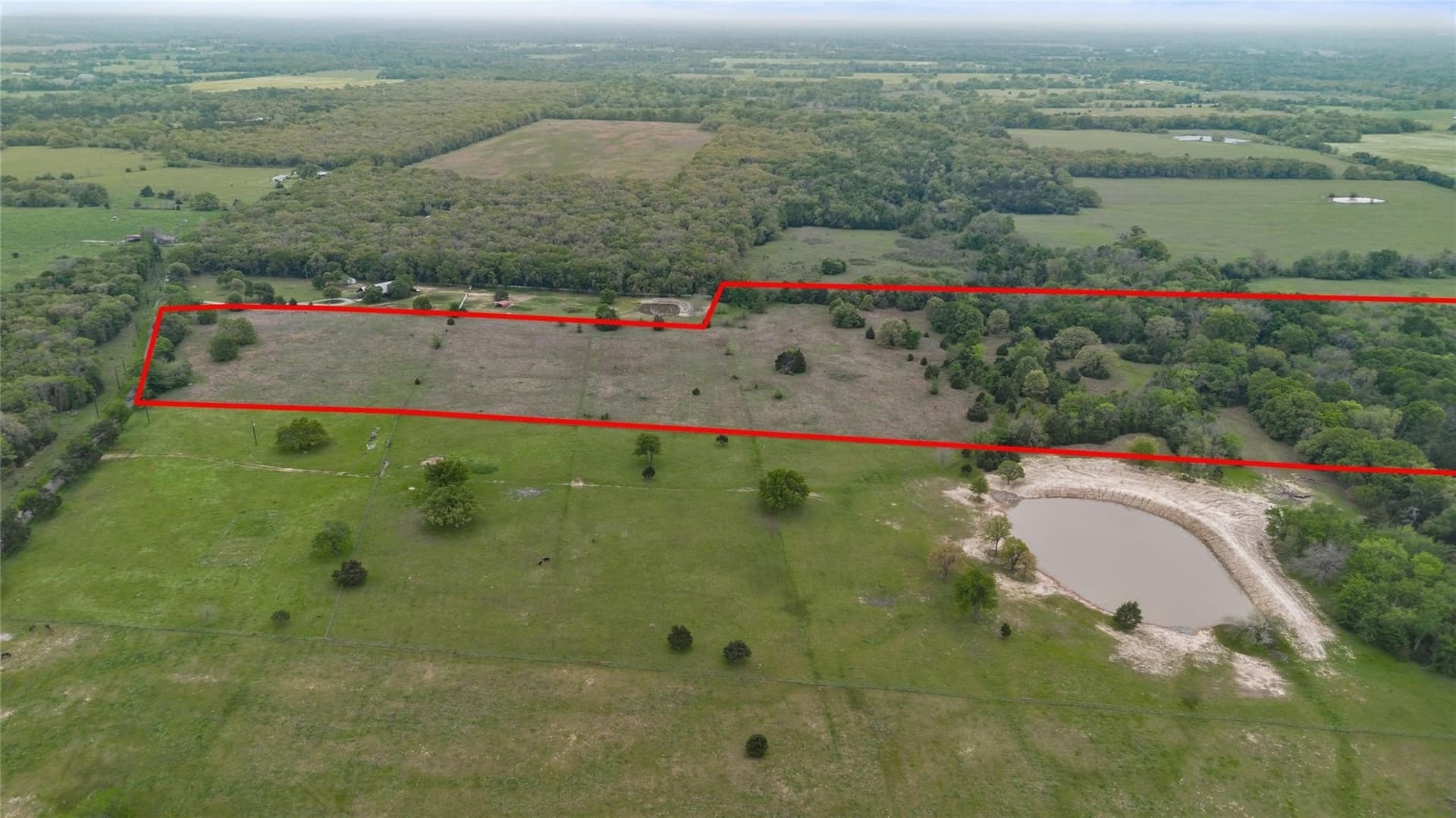 22.38 acres in Hopkins County gallery image 4