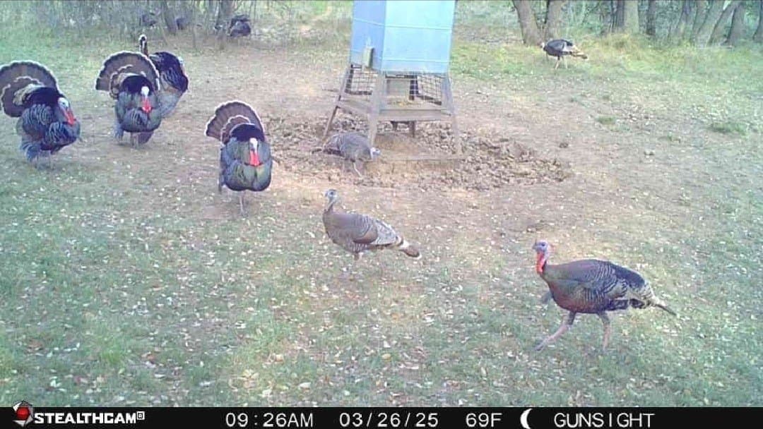 160 acres in Stephens County - photo 24