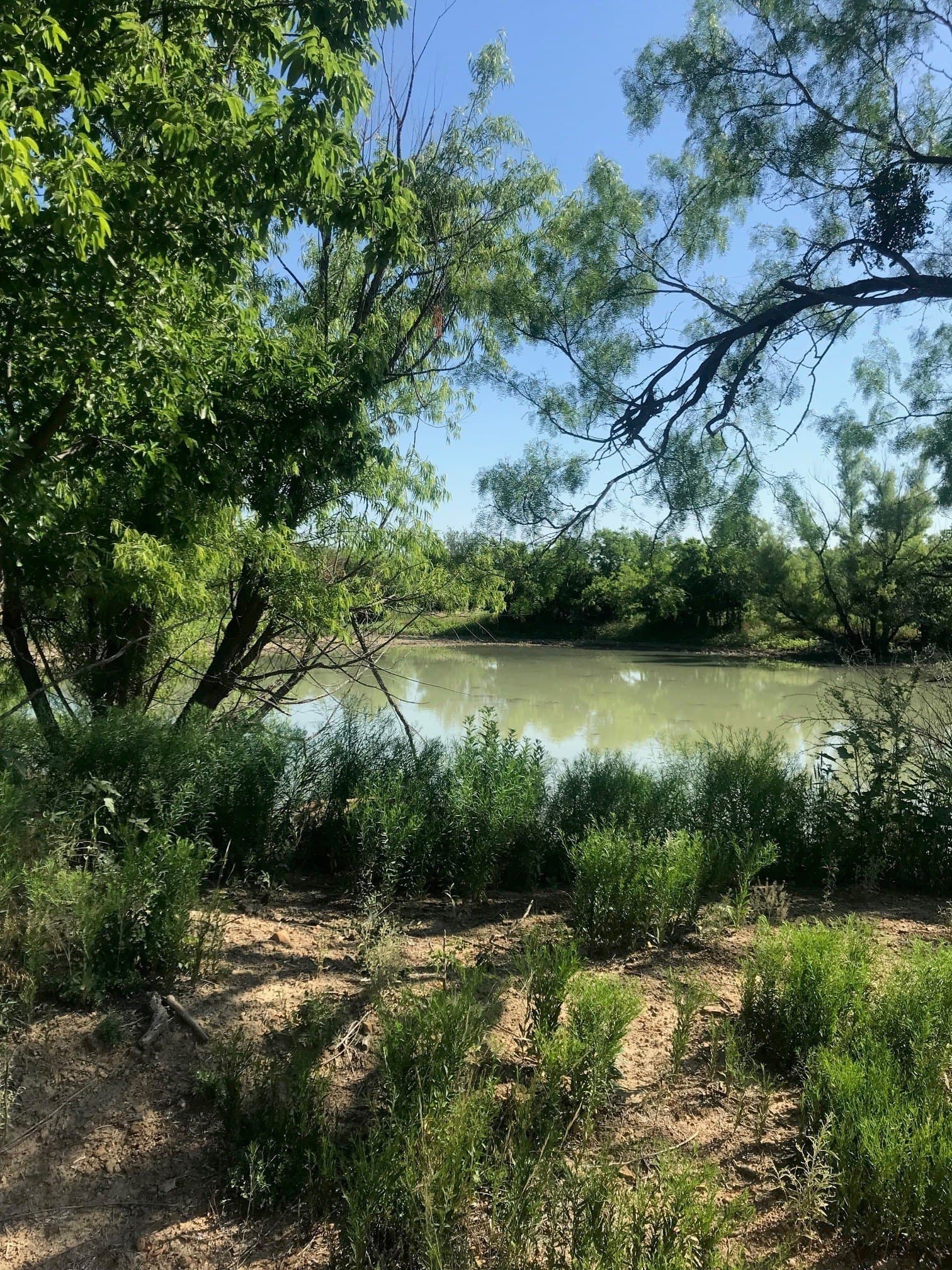 160 acres in Stephens County - photo 5
