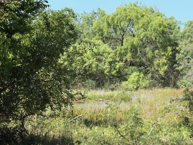 160 acres in Stephens County - photo 38