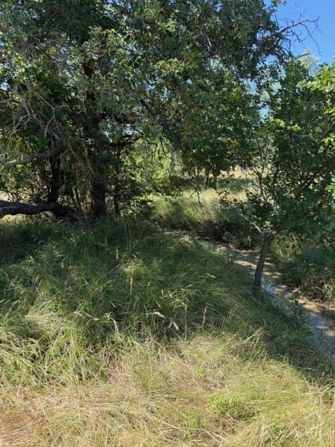 160 acres in Stephens County - photo 37