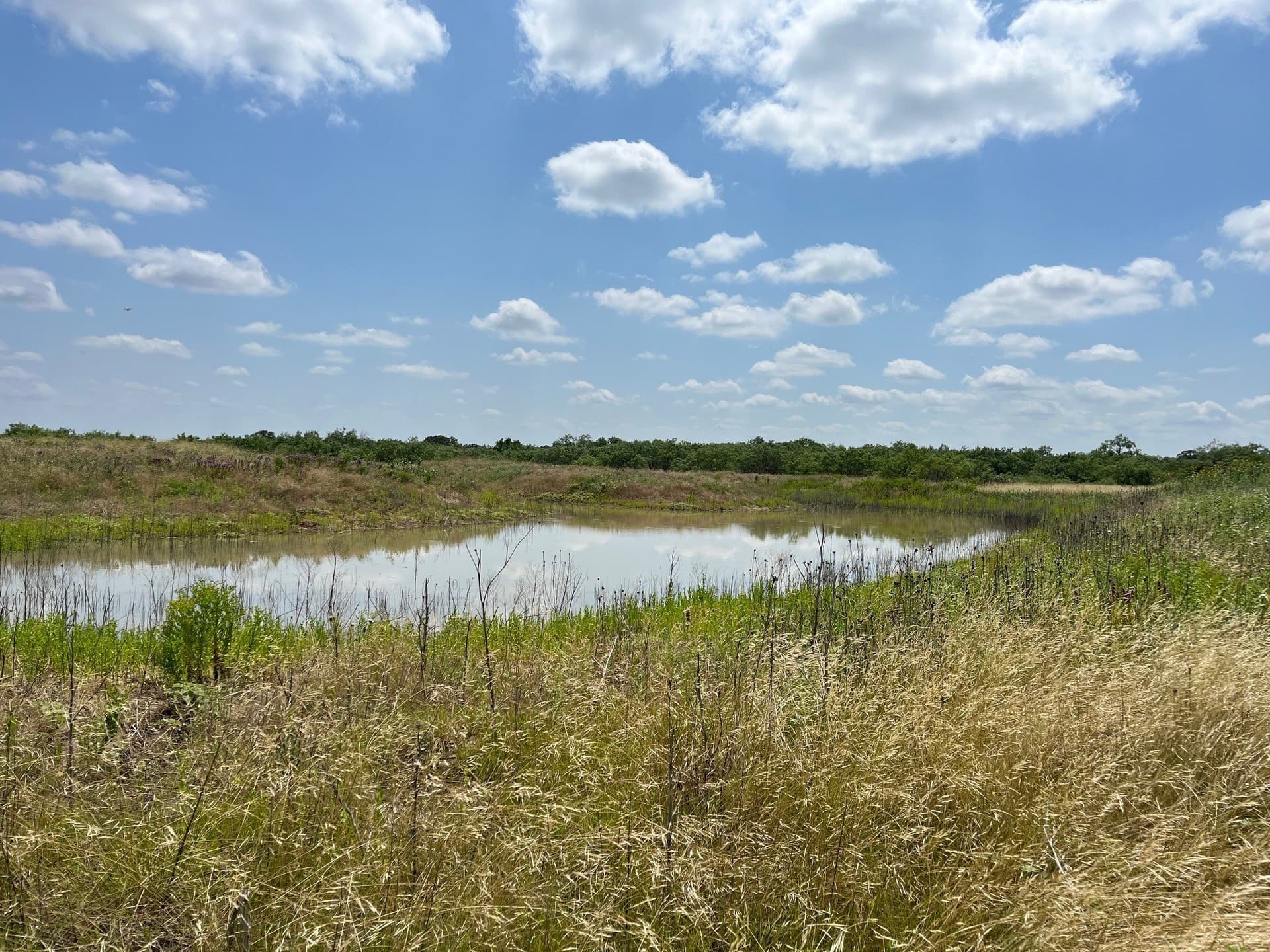 160 acres in Stephens County - photo 21