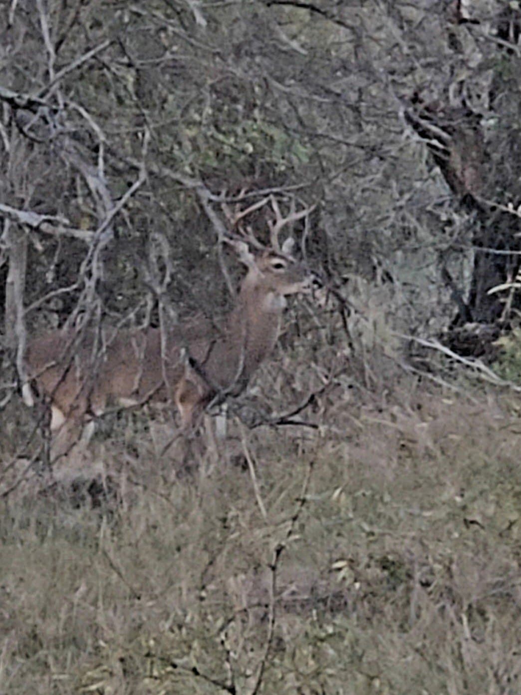 160 acres in Stephens County - photo 6