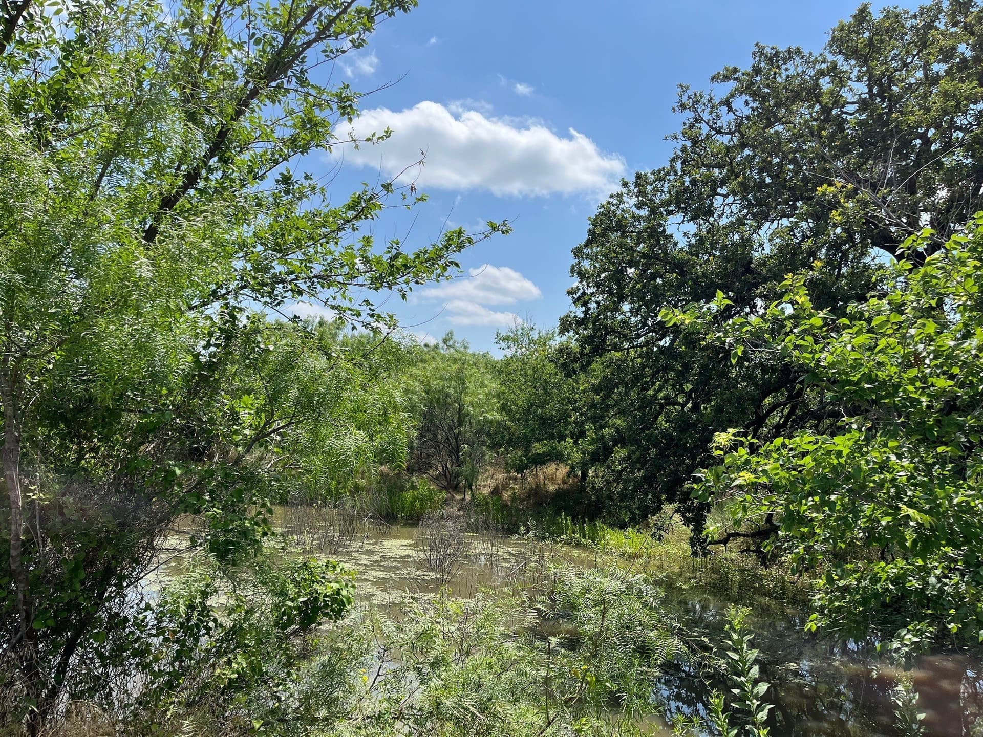 160 acres in Stephens County - photo 22