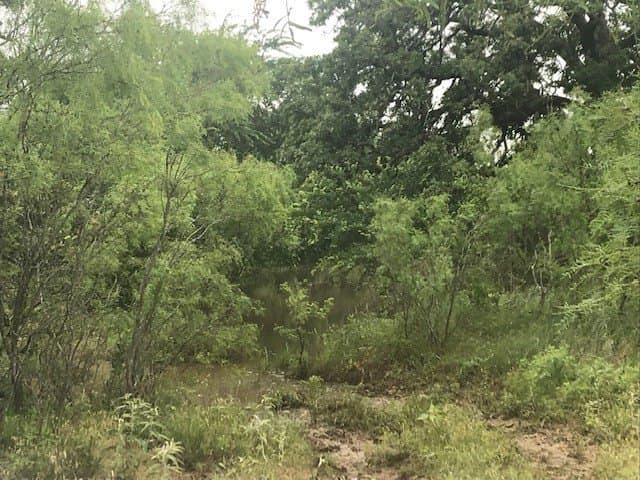 160 acres in Stephens County - photo 17