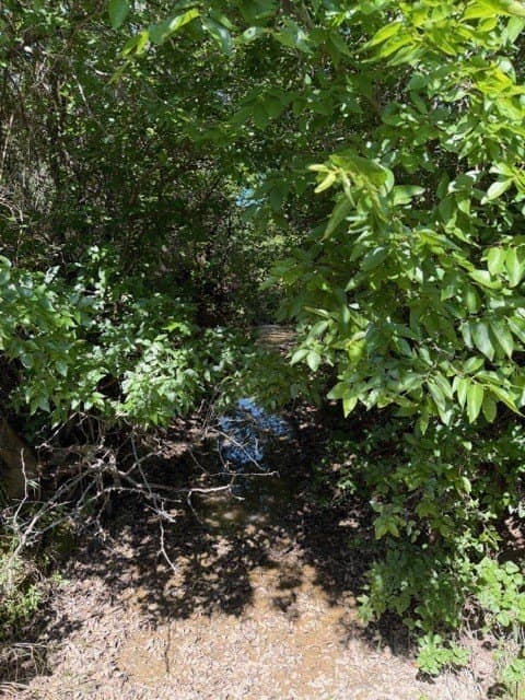160 acres in Stephens County - photo 40