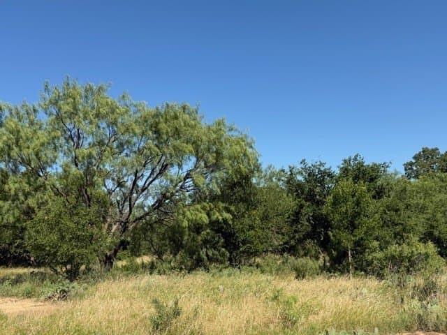 160 acres in Stephens County - photo 39