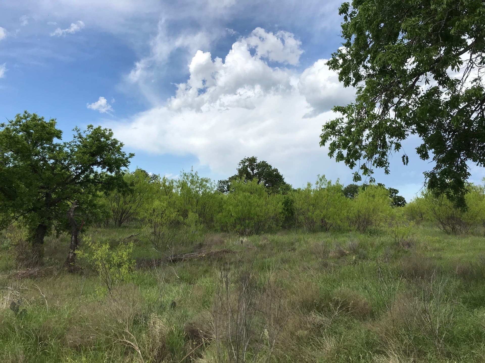160 acres in Stephens County - photo 15