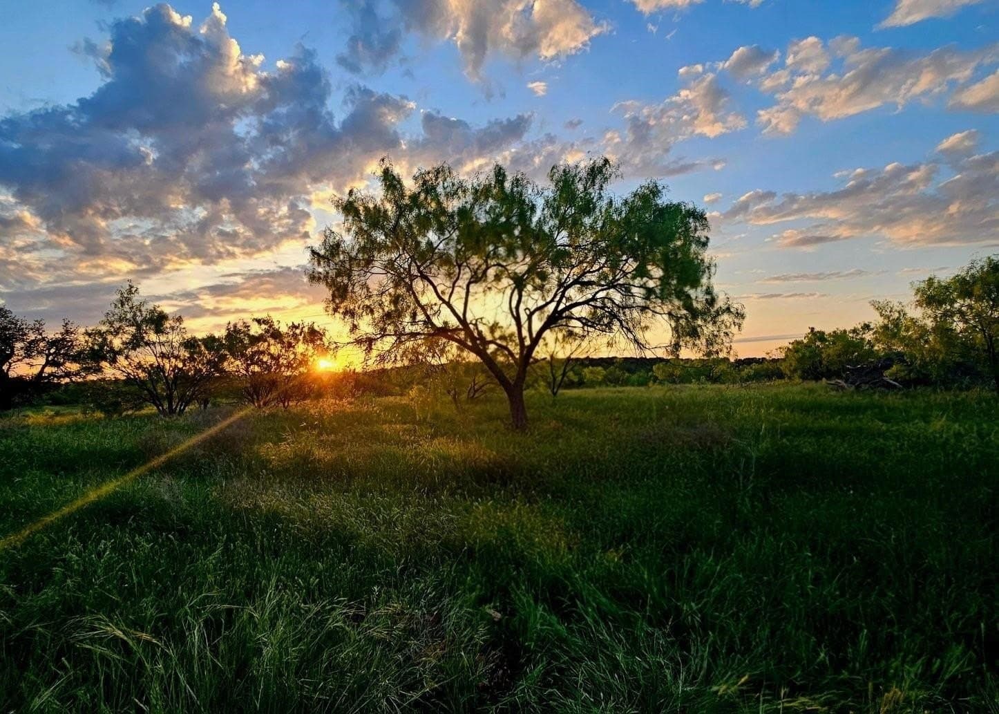 160 acres in Stephens County - photo 12