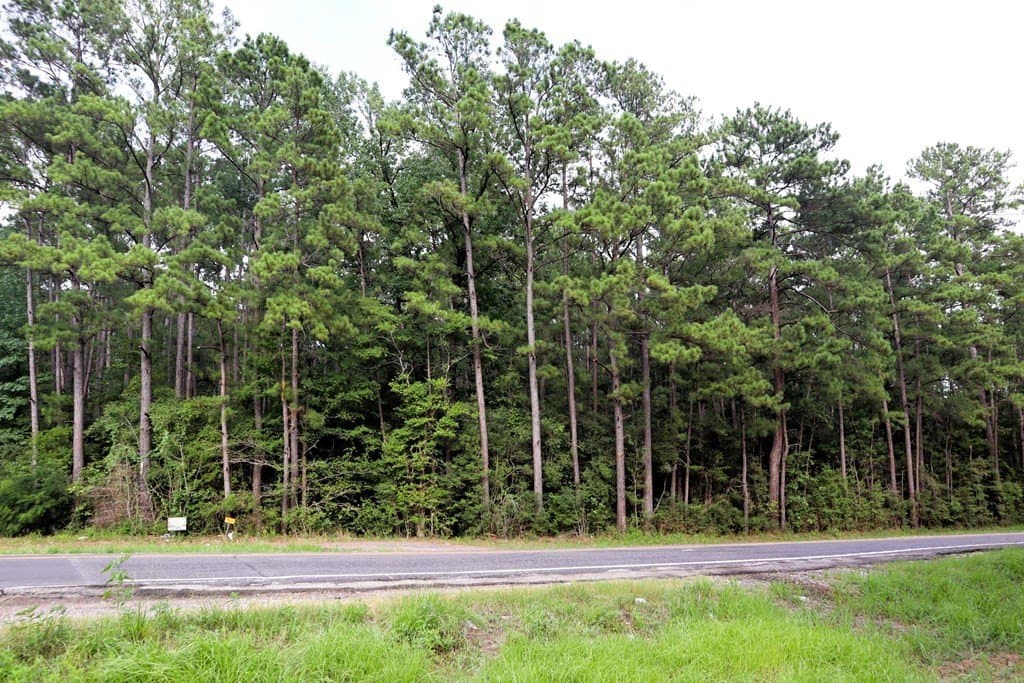 9.54 acres in Texas County gallery image 2