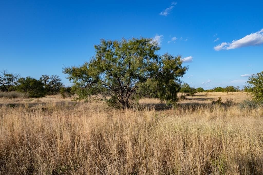 97 acres in Texas County gallery image 2
