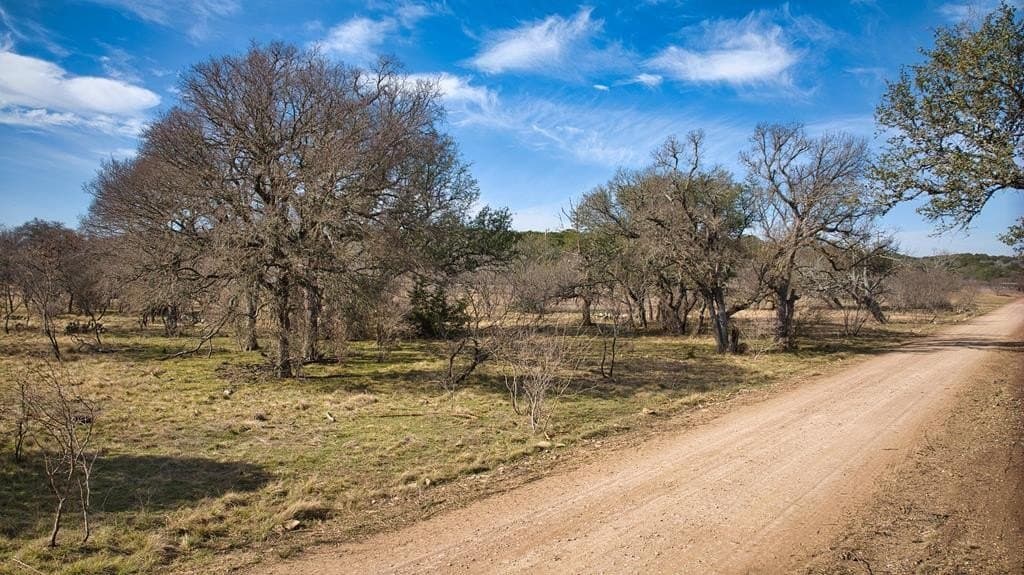 108 acres in San Saba County gallery image 3