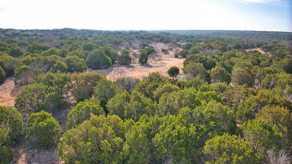 108 acres in San Saba County gallery image 2
