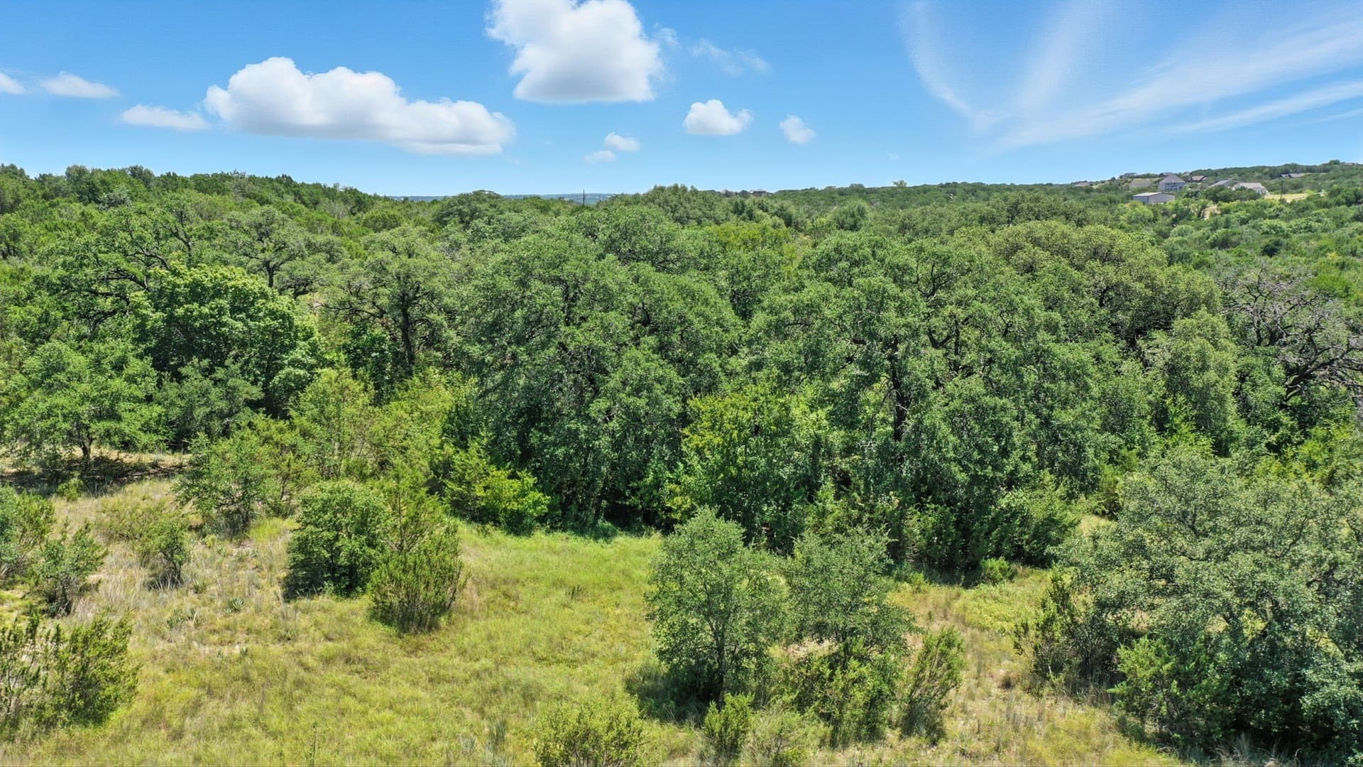 5.01 acres in Erath County gallery image 4