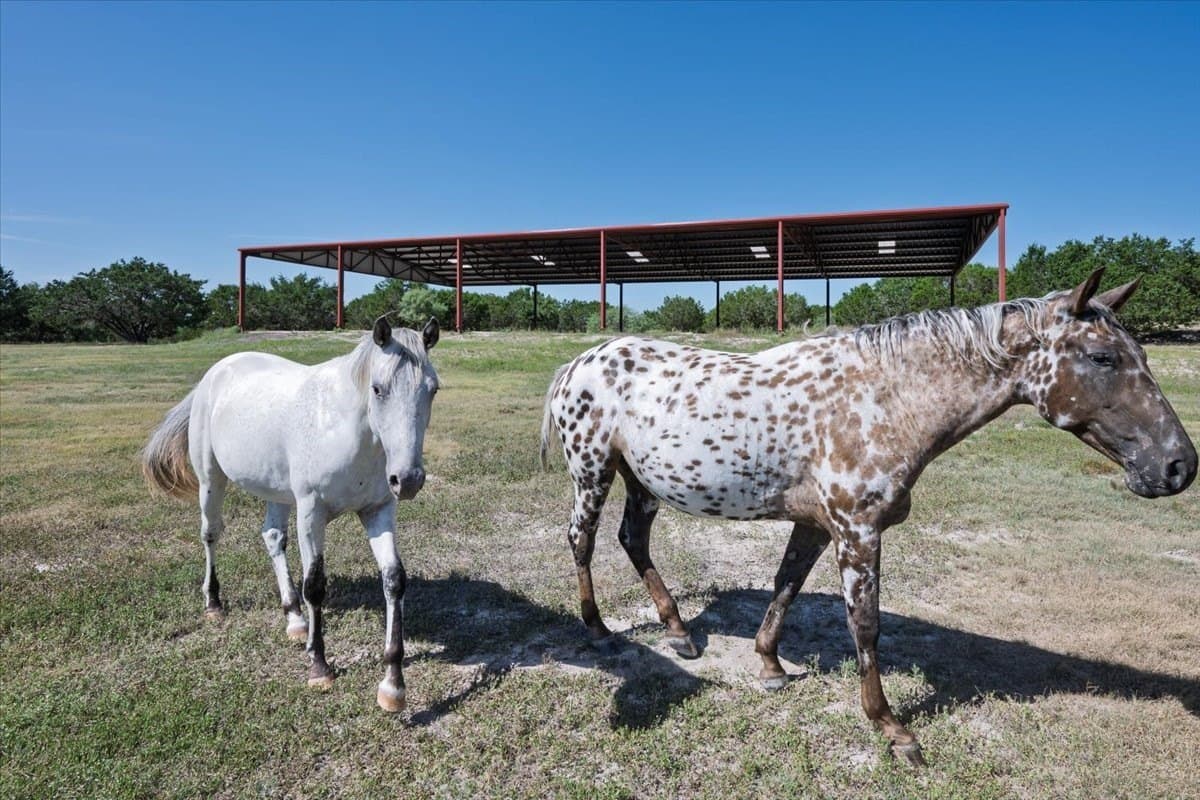 57 acres in Burnet County - photo 7