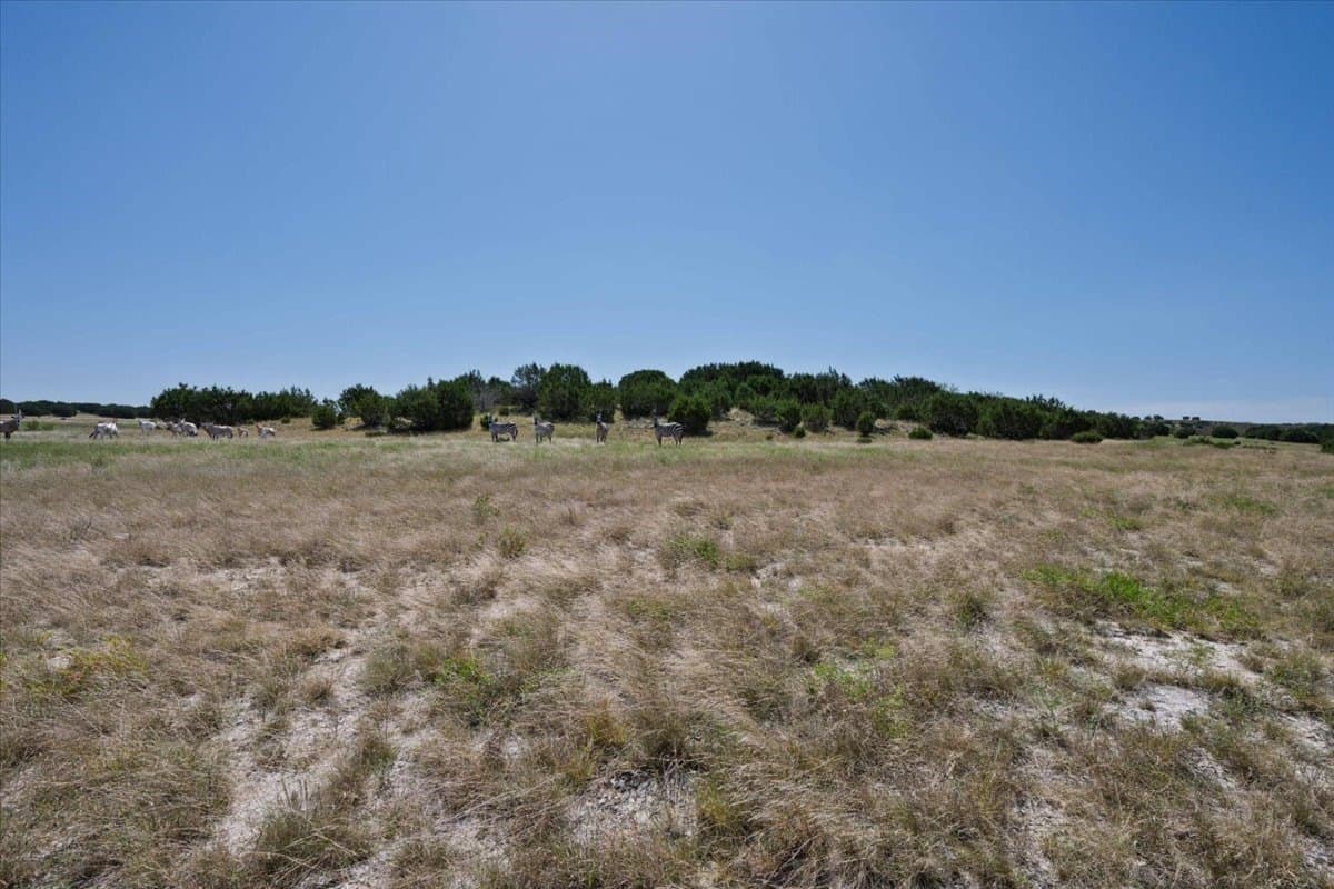 57 acres in Burnet County - photo 22