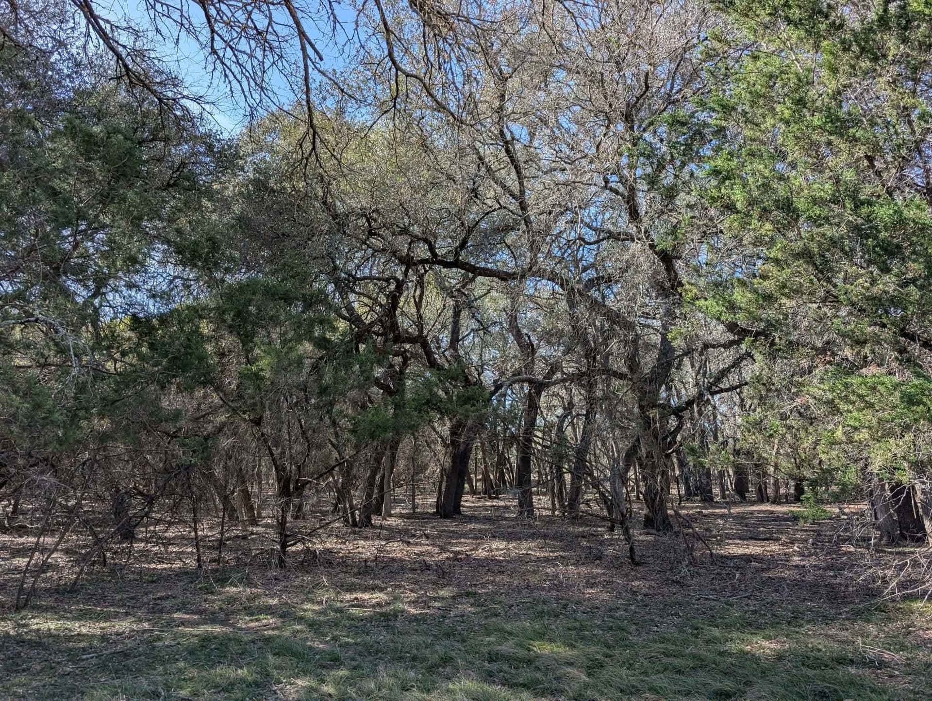 57 acres in Burnet County - photo 8