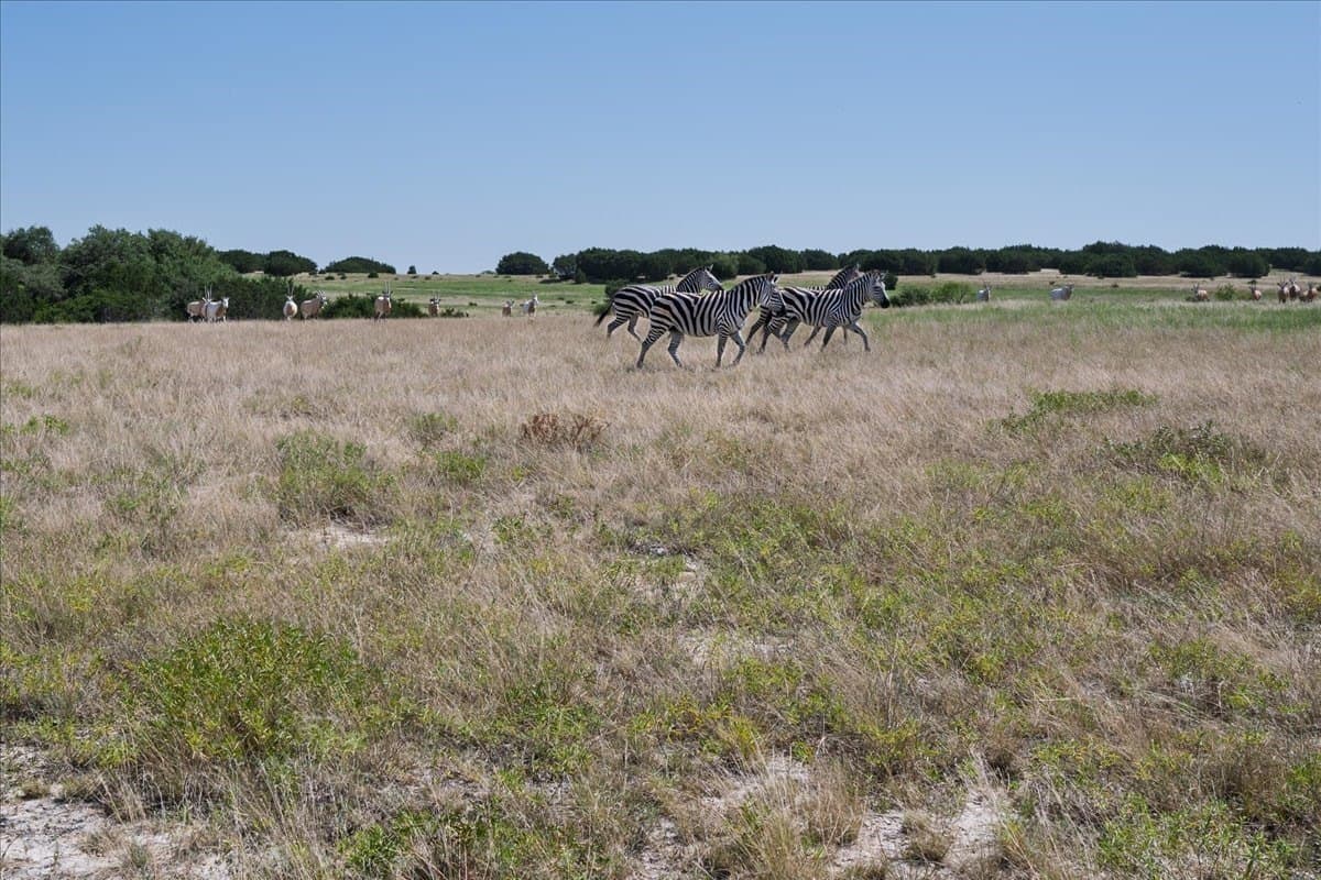 57 acres in Burnet County - photo 12