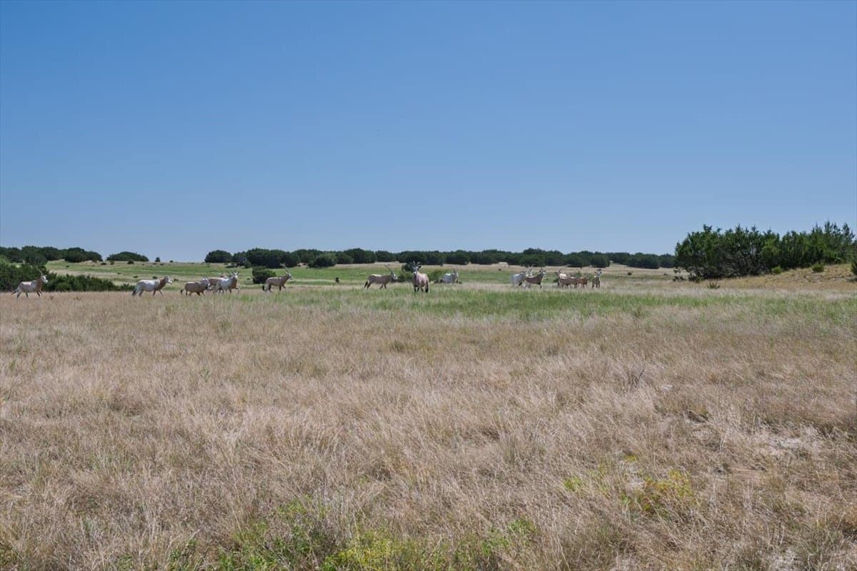 57 acres in Burnet County - photo 21