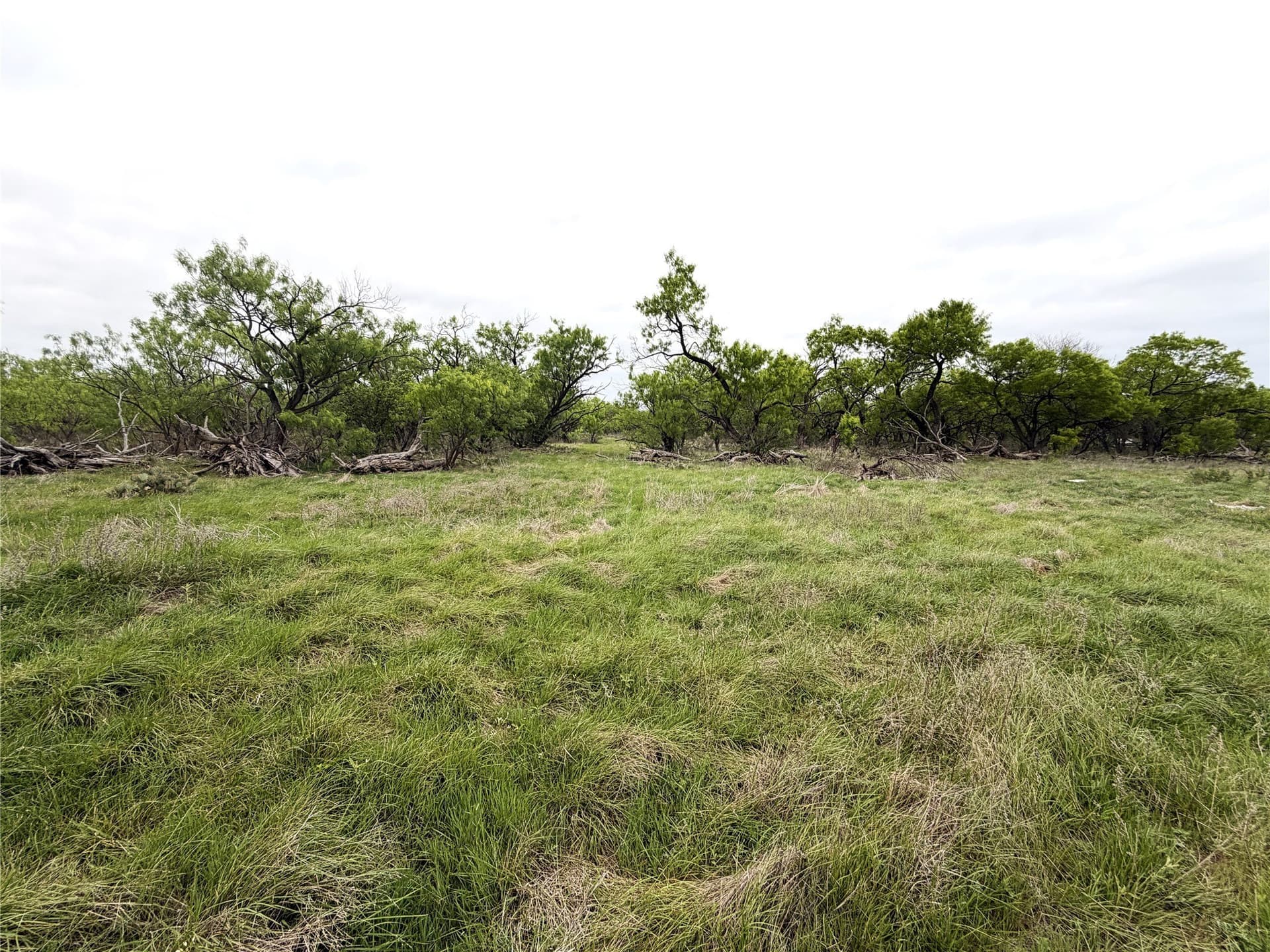 36.14 acres in Stephens County - photo 15