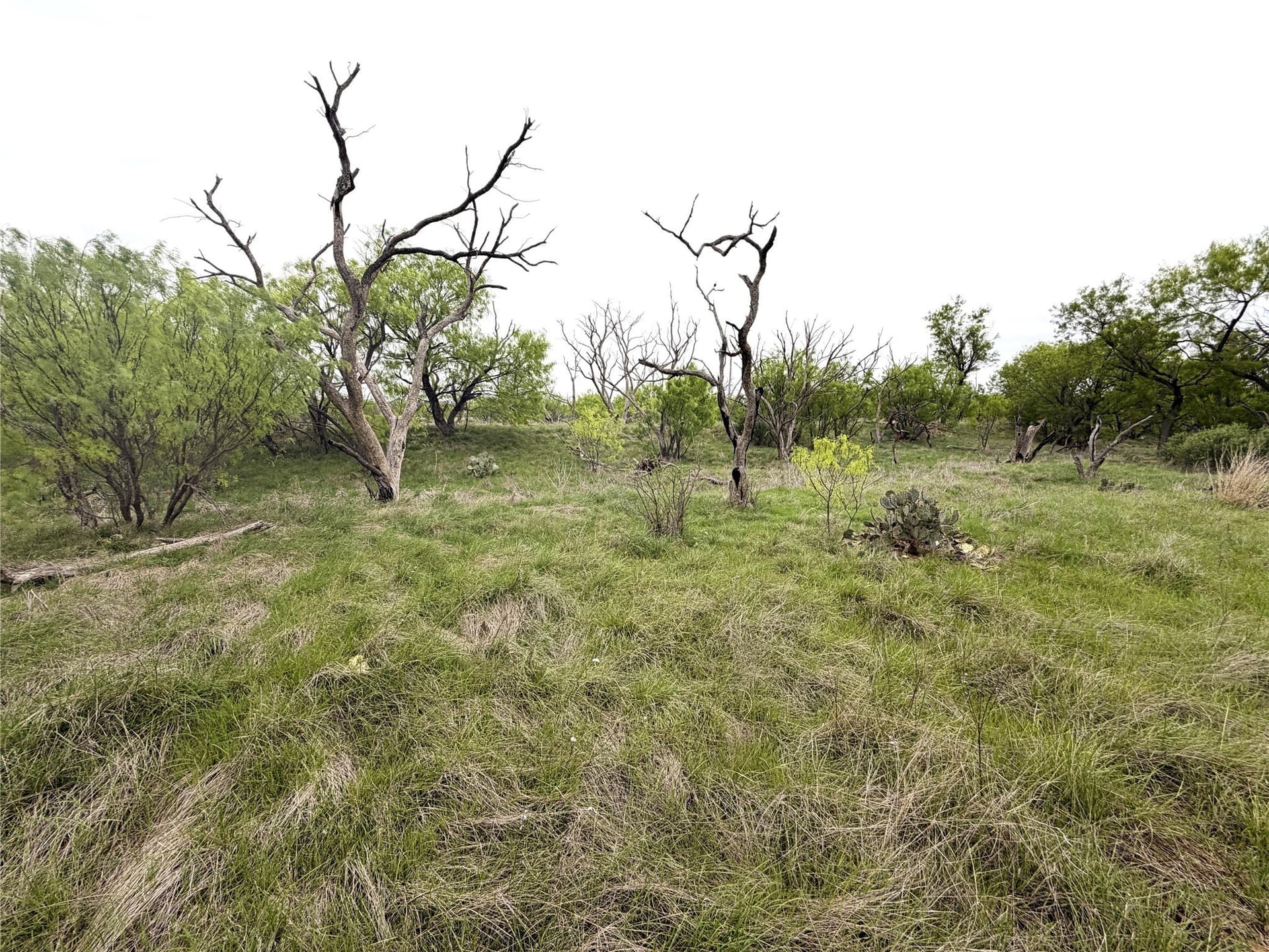 36.14 acres in Stephens County - photo 14