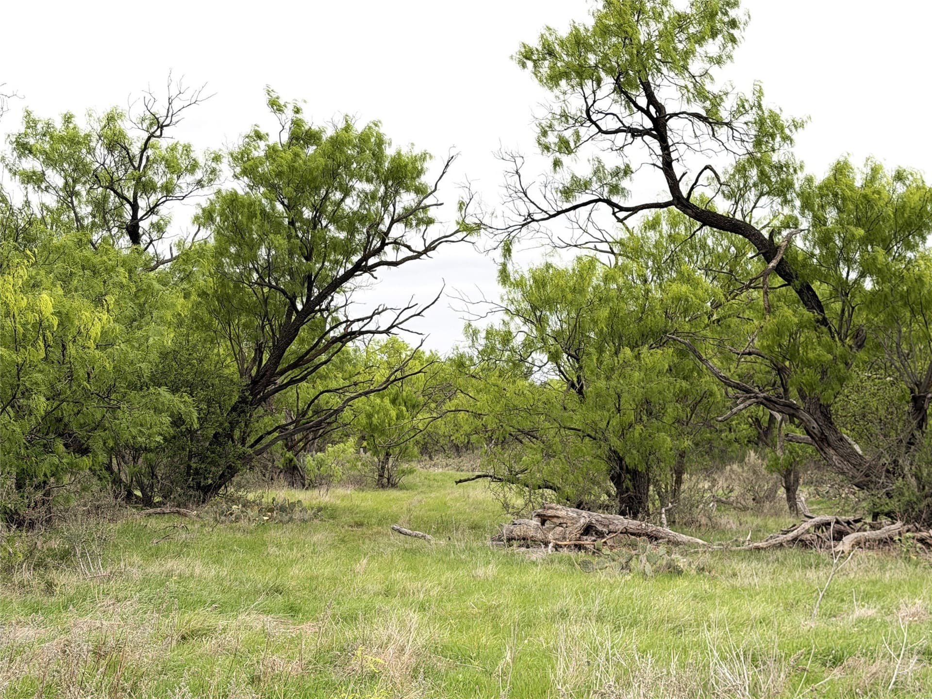 36.14 acres in Stephens County - photo 16