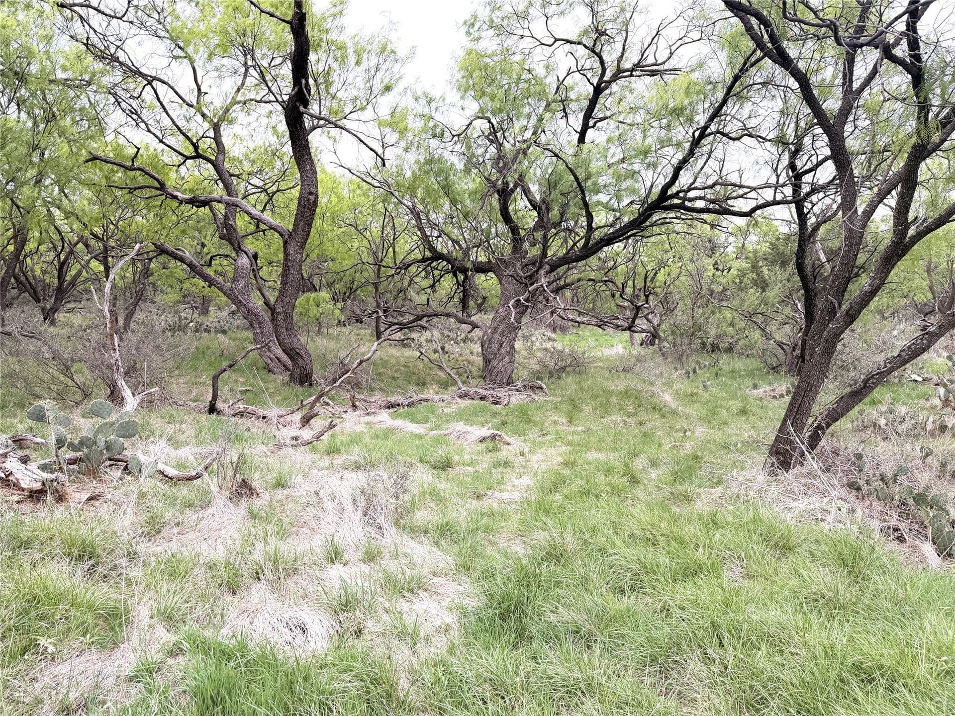 36.14 acres in Stephens County - photo 10