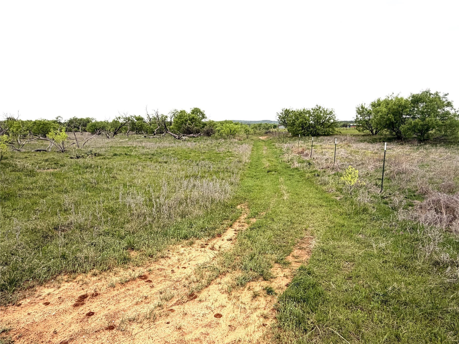 36.14 acres in Stephens County - photo 11