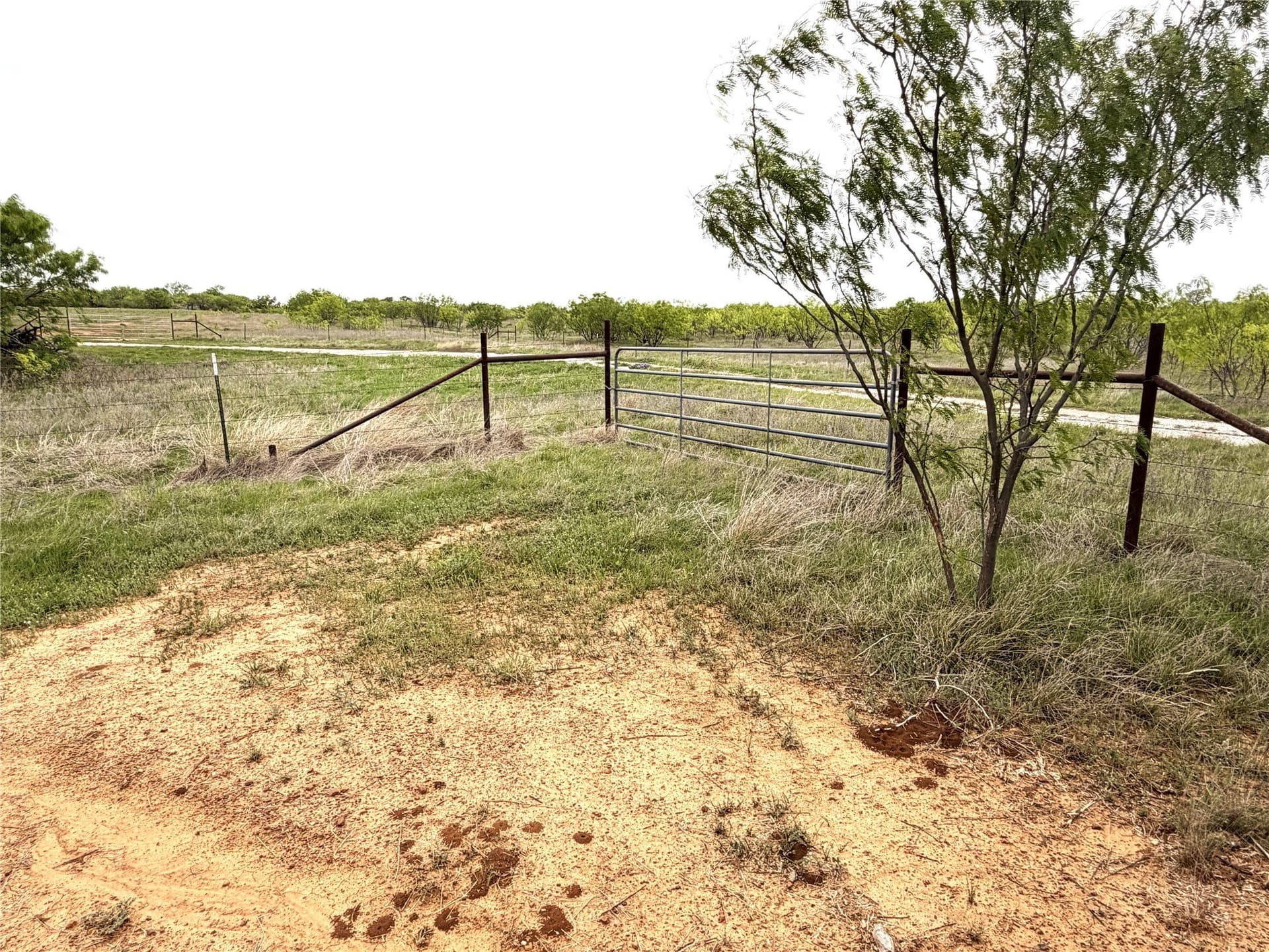 36.14 acres in Stephens County - photo 5