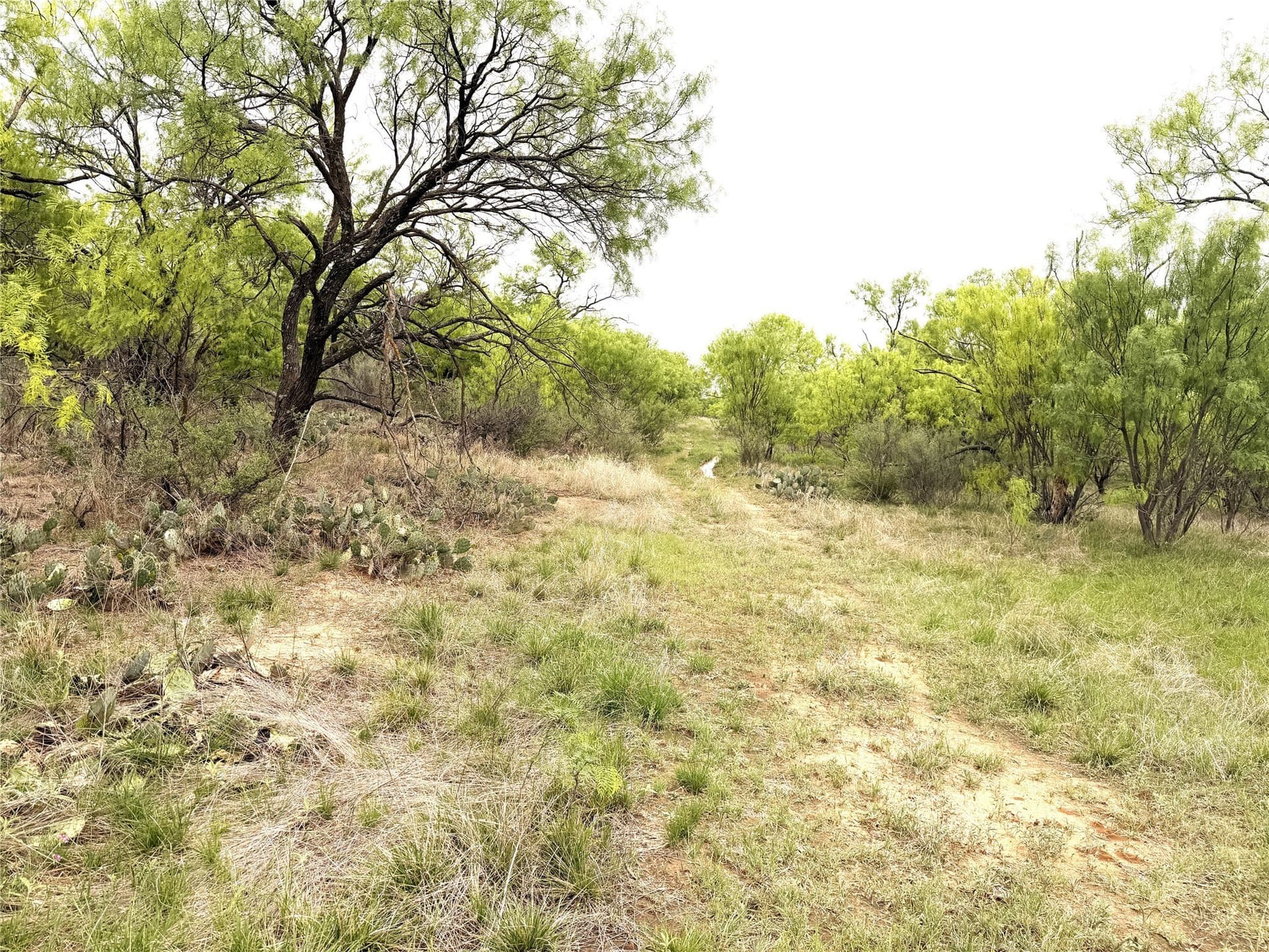 36.14 acres in Stephens County - photo 9