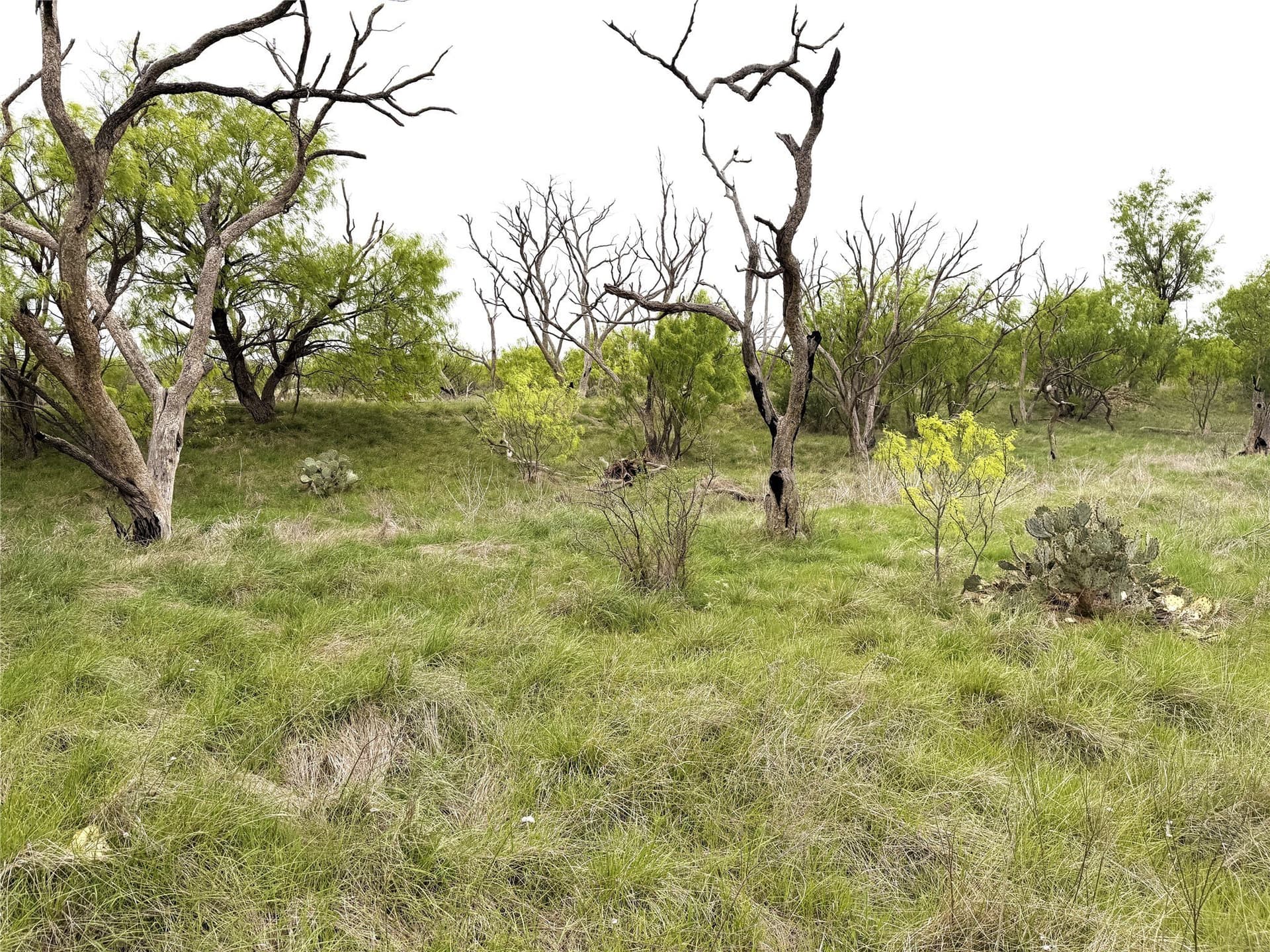 36.14 acres in Stephens County - photo 13