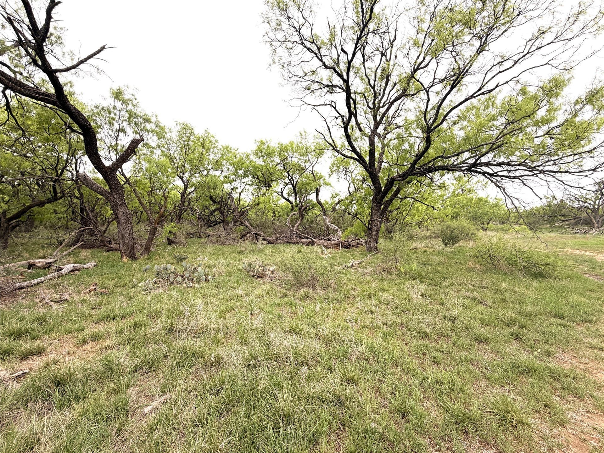 36.14 acres in Stephens County - photo 17