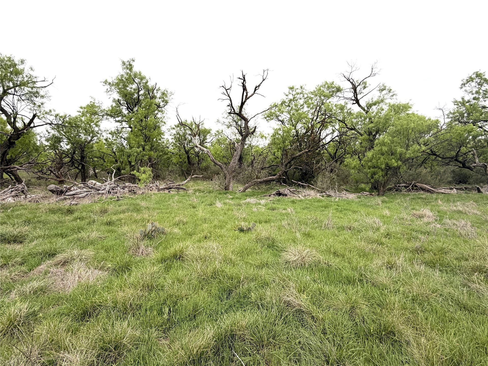 36.14 acres in Stephens County - photo 3