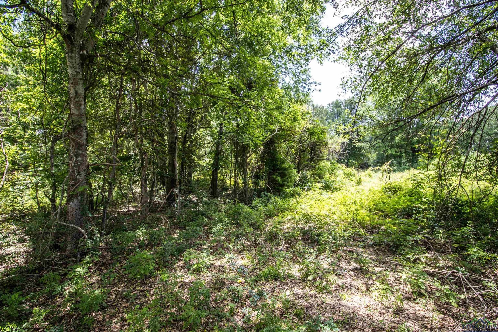 10.39 acres in Rusk County featured view