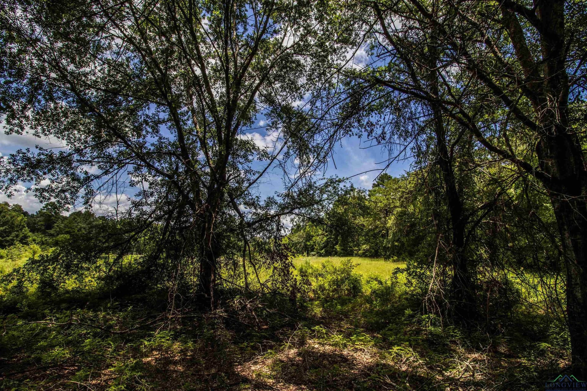 10.39 acres in Rusk County gallery image 4