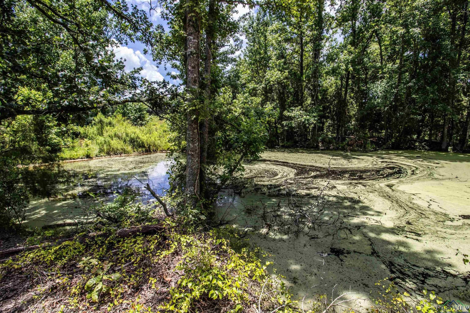 10.39 acres in Rusk County gallery image 3
