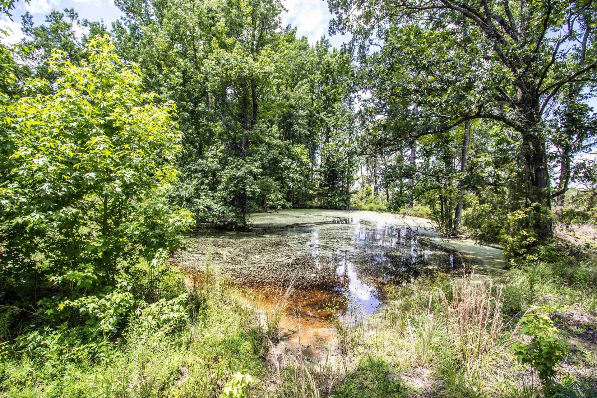 10.39 acres in Rusk County gallery image 2