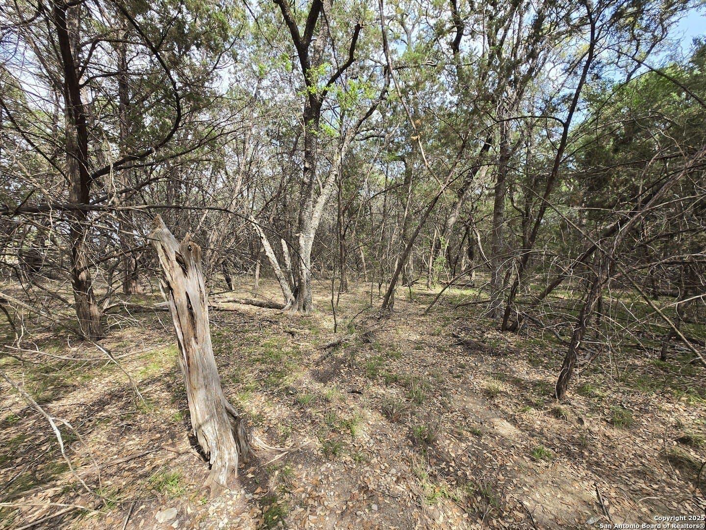 2 acres in Bandera County - photo 20